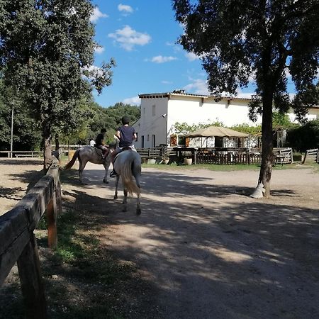 Casa Rural, Can Cirera Seriñá Exterior foto